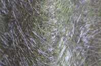 Box Trees fibreglass roof work